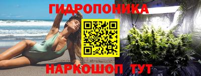 индика Нарткала